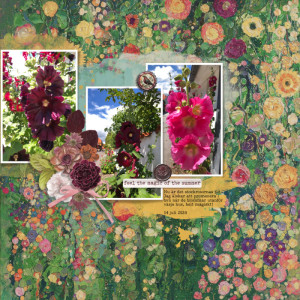 Hollyhock magic