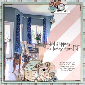 Spoiled Puppies