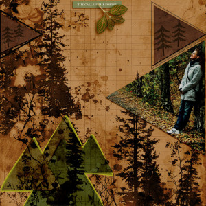 The call of the forest