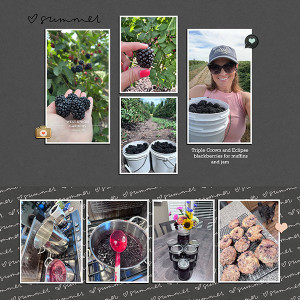 Blackberry Picking