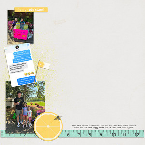 Lemonade Stand