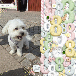 August 2024 Inspiration challenge