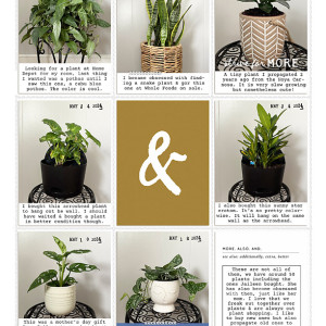 2024 Week plants Left