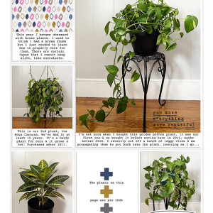 2024 plants right