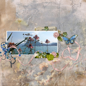 240729_flowers