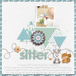New Sitter Job