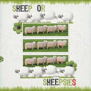 170615_sheepsies