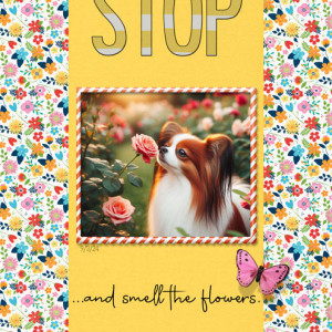 Stop