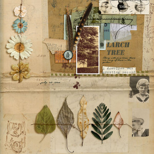 The Ordinary Interesting Record