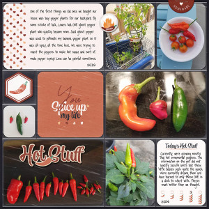 backyard hot peppers