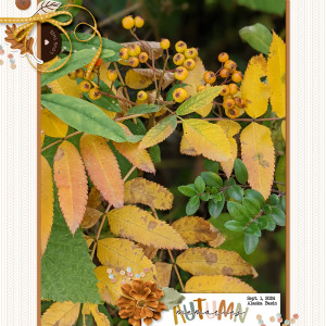Autumn-memories