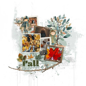 Fall is coming