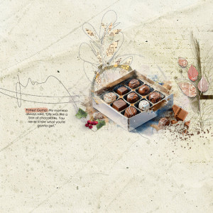box of chocolates