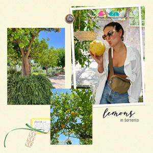 Lemons In Sorrento