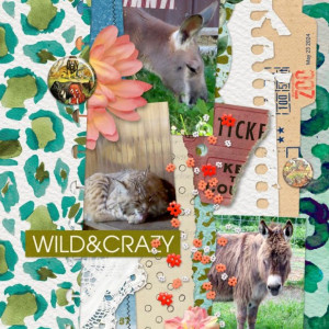 Scrapping-with-Liz_2024-09_September-MIS_web