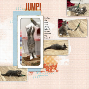 Kitten Jump