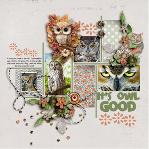 FF_sep13_RJ-LG_SwL_It's Owl Good