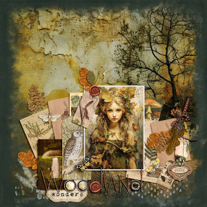WOODLAND WONDERS