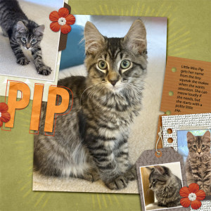 Little Miss Pip