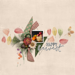 SOSN_sep18_AWA_Soco_Happy Harvest