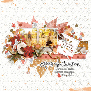 FF_sep20_BB-ESD_DBI_Signs Of Autumn