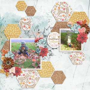 Autumn Leaves