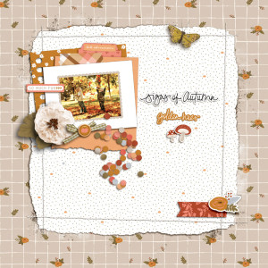 Signs Of Autumn