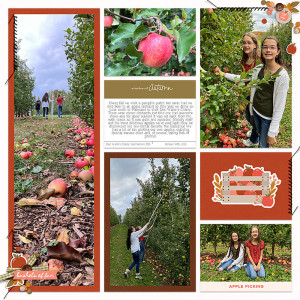 Apple Picking