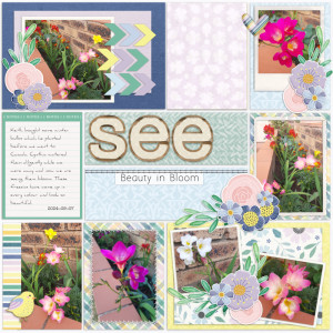 2024-09-07_See