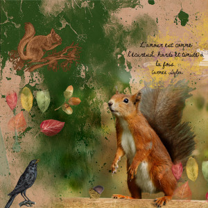 Squirrel