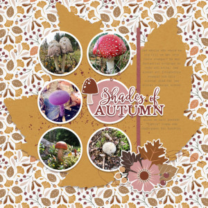 Shades of Autumn