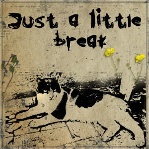Jut a little break