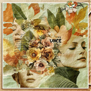 ONE VOICE