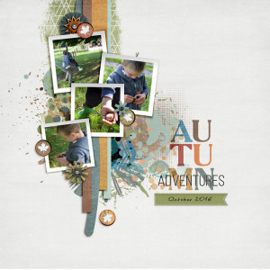 Autumn Adventures