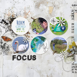 Focus