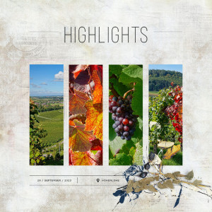 highlights