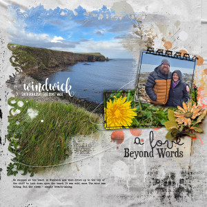 Windwick