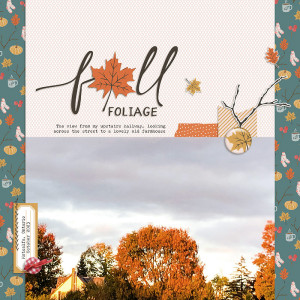 Fall Foliage