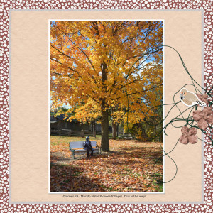 Polly-Inspiration-DSD-2024