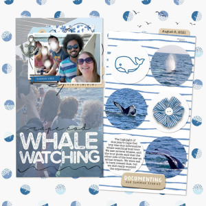 Whale Watching