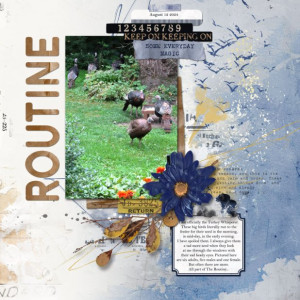The Routine
