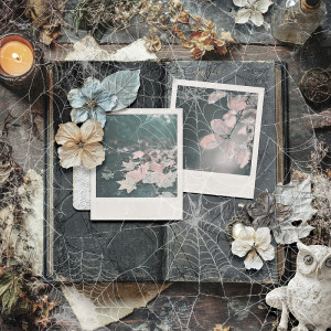 Haunted Forest