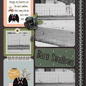 October album - barn swallows