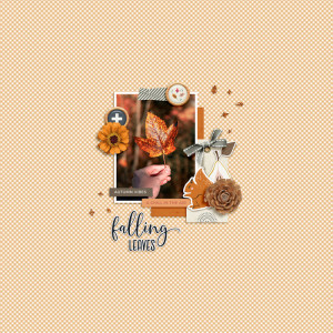 Saturday Slow Scrap | DSD 2024