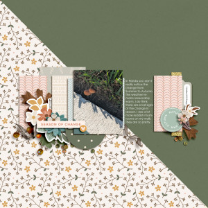 Designed by Soco & Sara Gleason & Becca Bonneville - DSD 2024 - Equinox