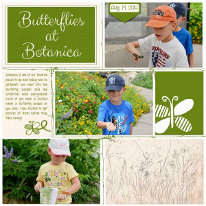 Butterflies at Botanica (DSD Bingo Challenge)