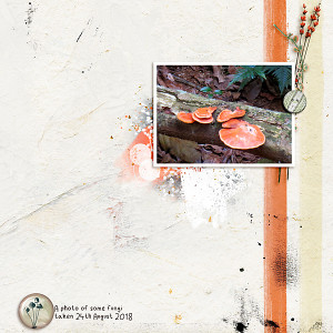 Fungi