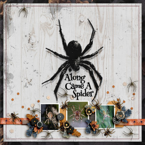 SOSN_oct16_NBK_AD_Along Came A Spider