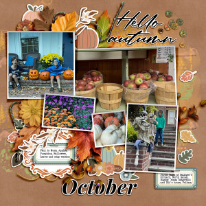 2024-10-PHOTOS-OF-AUTUMN-_600web