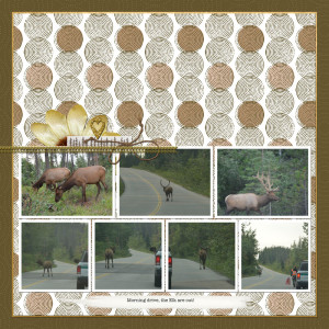 Candy-Inspiration---HB-2024